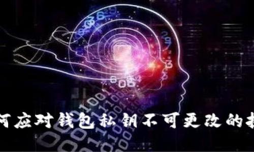如何应对钱包私钥不可更改的挑战
