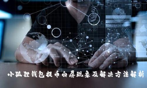  小狐狸钱包提币白屏现象及解决方法解析