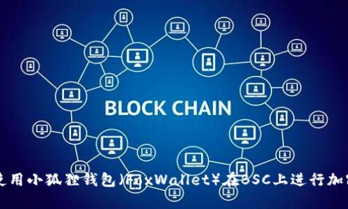 如何有效使用小狐狸钱包（FoxWallet）在BSC上进行加密货币交易