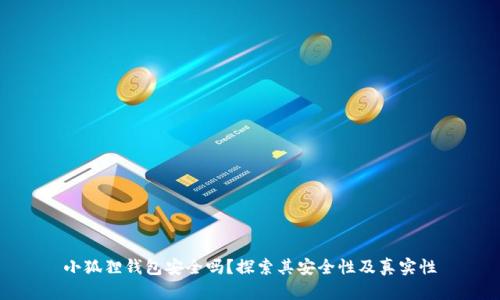 小狐狸钱包安全吗？探索其安全性及真实性