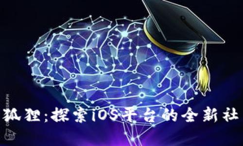 : 苹果版小狐狸：探索iOS平台的全新社交互动体验