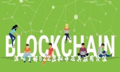 深入了解BZZ虚拟币及其应用价值