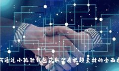 如何通过小狐狸钱包获取优质视频素材的全面指