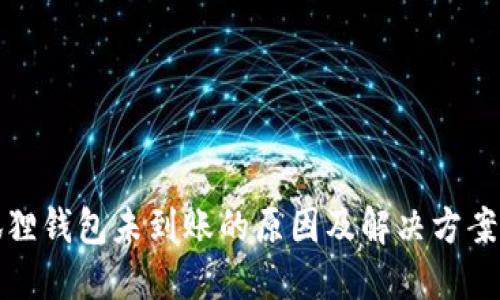 小狐狸钱包未到账的原因及解决方案详解
