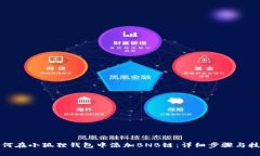 如何在小狐狸钱包中添加BNB链：详细步骤与技巧