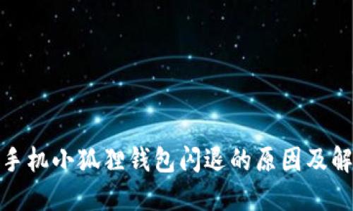 : 苹果手机小狐狸钱包闪退的原因及解决方案