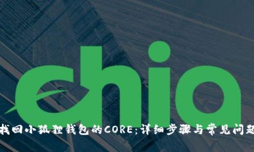 如何找回小狐狸钱包的CORE：详细步骤与常见问题解答