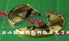 如何解决小狐狸钱包网络不见了的问题？