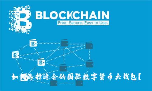如何选择适合的国际数字货币大钱包？