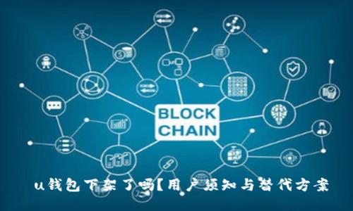  u钱包下架了吗？用户须知与替代方案