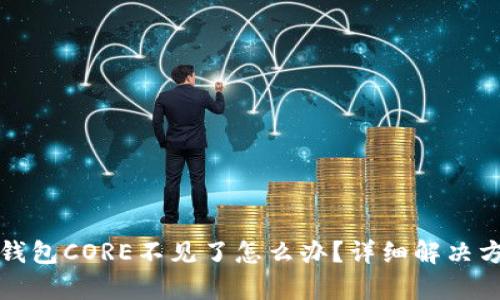 小狐狸钱包CORE不见了怎么办？详细解决方案解析