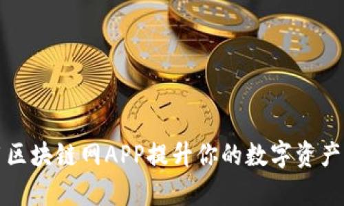 如何利用区块链网APP提升你的数字资产管理效率
