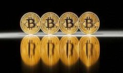 全面解析适合您需求的加密货币钱包