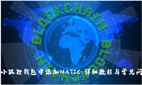 如何在小狐狸钱包中添加MATIC：详细教程与常见问题解答