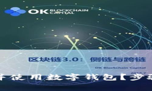 如何在大陆成功安装并使用数字钱包？步骤解析与常见问题解答