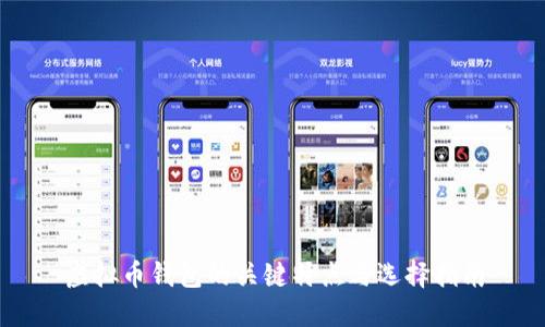 虚拟币钱包的关键特点与选择指南
