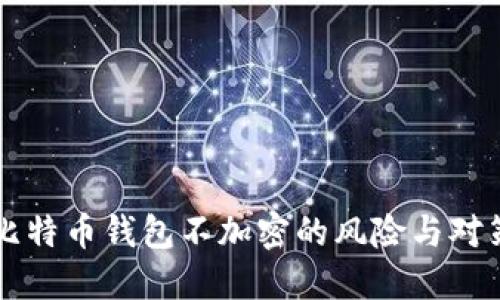 比特币钱包不加密的风险与对策
