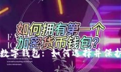 全球最安全的数字钱包: 如何选择并保护你的虚拟