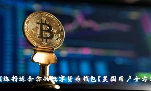: 如何选择适合你的数字货币钱包？美国用户全方位指南