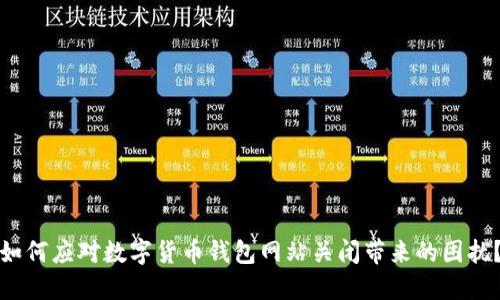 如何应对数字货币钱包网站关闭带来的困扰？