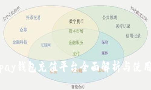 808pay钱包充值平台全面解析与使用指南
