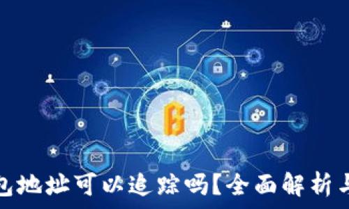   
虚拟币钱包地址可以追踪吗？全面解析与安全建议