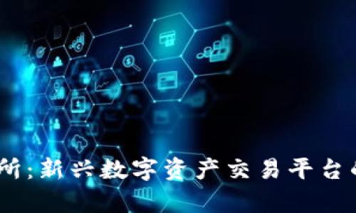 BTCH交易所：新兴数字资产交易平台的全面解析