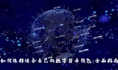 如何选择适合自己的数字货币钱包：全面指南