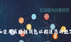 如何选择和使用区块链钱包以推进您的数字资产