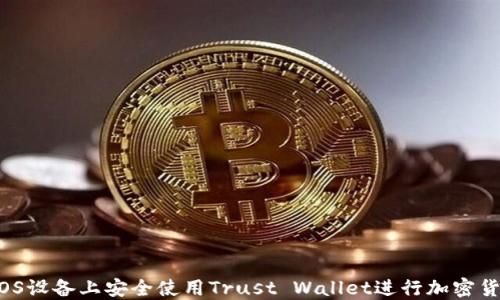 
如何在iOS设备上安全使用Trust Wallet进行加密货币交易？