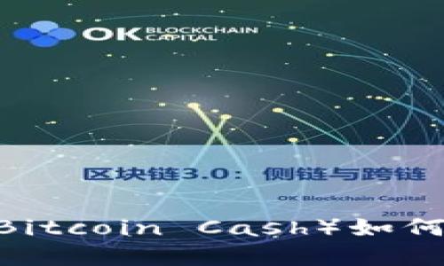: 比特币现金（Bitcoin Cash）如何改变全球经济？