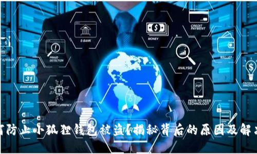 : 如何防止小狐狸钱包被盗？揭秘背后的原因及解决方案