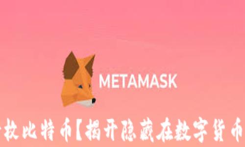 
中本聪持有多少枚比特币？揭开隐藏在数字货币背后的神秘人物