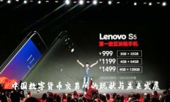 中国数字货币交易所的现状与未来发展