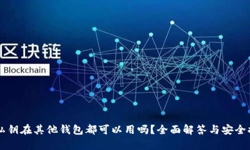 有私钥在其他钱包都可以用吗？全面解答与安全提示