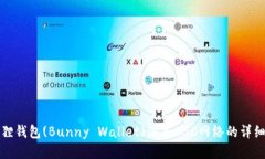小狐狸钱包(Bunny Wallet)添加BSC网络的详细指南