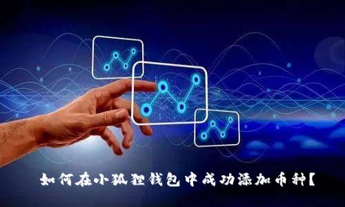  如何在小狐狸钱包中成功添加币种？