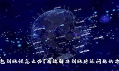 小狐狸钱包到账慢怎么办？有效解决到账延迟问