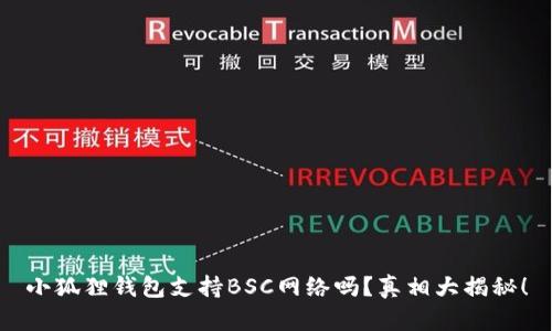 小狐狸钱包支持BSC网络吗？真相大揭秘！