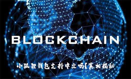 小狐狸钱包支持中文吗？真相揭秘
