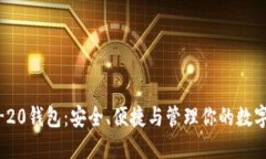 ERC-20钱包：安全、便捷与管理你的数字资产