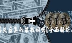 小狐狸币丢失后真的能找回吗？全面解析与解决