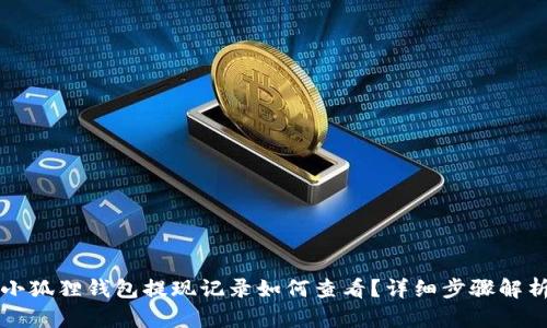 小狐狸钱包提现记录如何查看？详细步骤解析