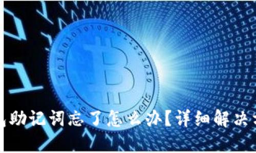 小狐狸钱包助记词忘了怎么办？详细解决方案与指导