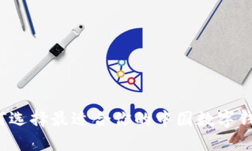 如何选择最适合你的中国数字钱包？