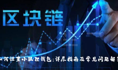 如何设置小狐狸钱包：详尽指南及常见问题解答