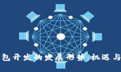 区块链钱包开发的发展形势：机遇与挑战并存