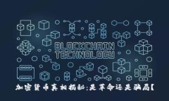 加密货币真相揭秘：是革命还是骗局？