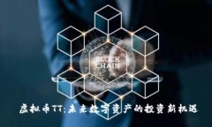  虚拟币TT：未来数字资产的投资新机遇