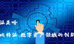 比特派是啥揭秘比特派：数字资产领域的创新工